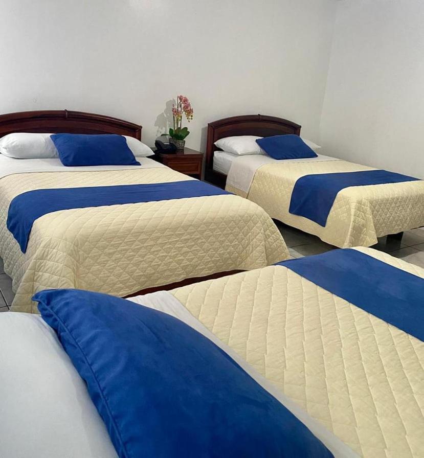 Hotel Del Pacifico 圣多明各德洛斯科罗拉多斯 外观 照片